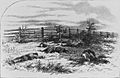 Drawing of Dead Soldiers on Antietam battlefield