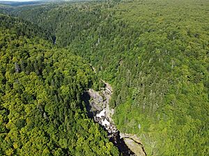 Economy River Falls, Nova Scotia, Aerial Shot