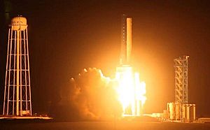 Falcon 9 first stage test firing (2)
