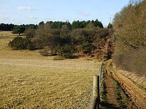Fence line - geograph.org.uk - 1752666