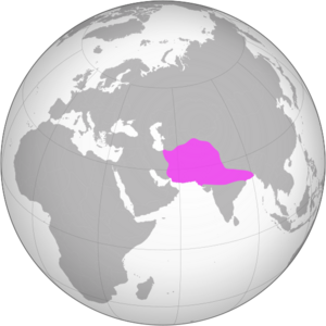 Ghurid dynasty (greatest extent)