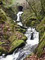 Hafod Waterfall And Bridge