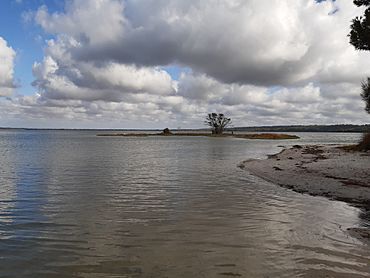 Harvey Estuary from Island Point Reserve, February 2020 03.jpg