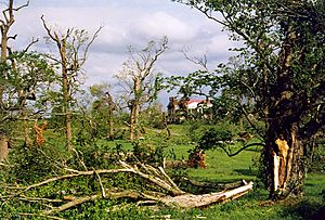 Hermitage Tornado Damage 1998