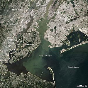 Irene's Sediment in New York Harbor (6105706375)