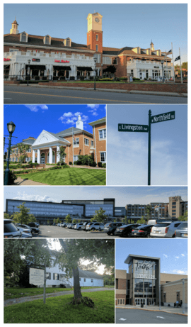 Montage: Livingston Town Center (top row), Town Hall (left row 2), street sign (right row 2), St. Barnabas Medical Center (row 3), Historic Force Homestead (left row 4) and Livingston Mall (right row 4)