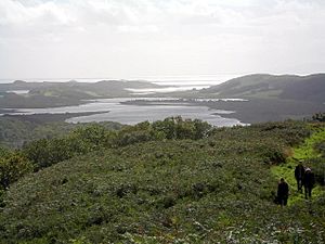 Looking south over Loch Sween from Taynish - geograph.org.uk - 80102