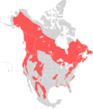 Map Black Bear
