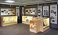 Minnesota Veterinary Historical Museum