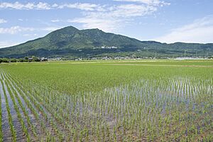 Mt.Tsukuba 23