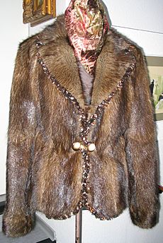 Muskrat (musquash) fur backs, jacket
