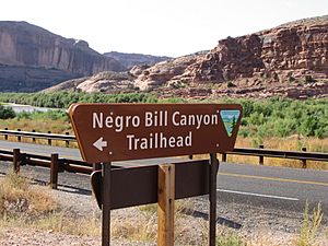 N-word Bill Canyon sign
