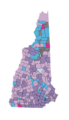 NH ancestry