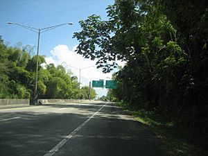 Puerto Rico Highway 30 in Tejas