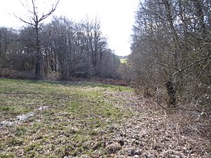 Paines Cross Meadow (3).jpg