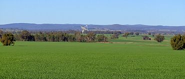 Parkes Observatory -Australia -landscape-15Aug2009.jpg
