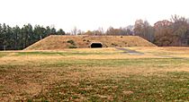 Pinson mounds museum 1
