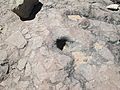 Prehistoric Bedrock Mortar Davidson Canyon Arizona 2014