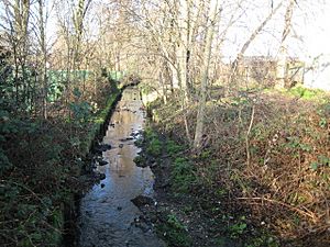 Pyl Brook in North Cheam - geograph.org.uk - 690675