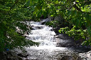 Quarry Falls (Macon County, North Carolina).JPG