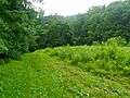 Raab Park, North Codorus twp, York Co PA