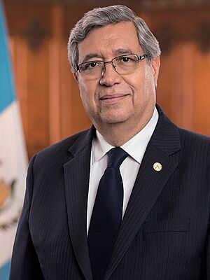 Retrato Oficial de Vicepresidente Jafeth Cabrera Franco (cropped)
