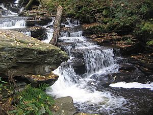 Ricketts Glen State Park Delaware Falls 2