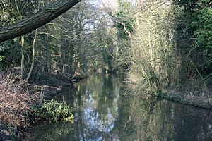 River Darent, Lullingstone Country Park - geograph.org.uk - 1734653