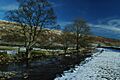 River Skirfare passing through Halton Gill - geograph.org.uk - 132828