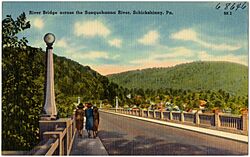 River bridge, across the Susquehanna River, Schickshinny, Pa (68646)