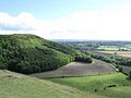 Roundway hill - geograph.org.uk - 57773
