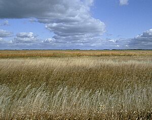 Sand Lake National Wildlife Refuge