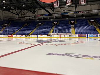 Santander Arena.jpg