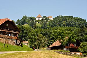 Schloss Burgistein 01 10