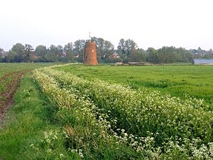 Shefford windmill