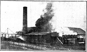Skyring's Mill Fire, Gladstone, 1930