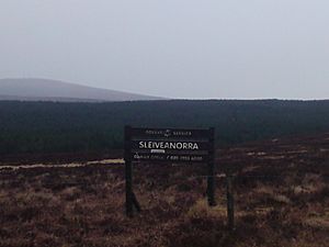 Slieveanorra Forest sign