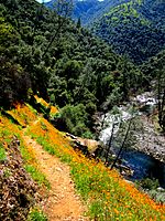 South Fork of the Merced River