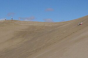 Surfing Star Dune