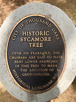 Sycamore tree thousand oaks landmark stagecoach inn newbury park
