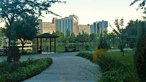 Tashkent Japanese Gardens, Tashkent, Uzbekistan