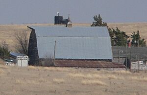 Thornburg barn (Ness Co KS) from W 1