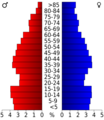 USA Cherokee County, Kansas age pyramid