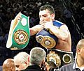 Vanes Martirosyan 2010