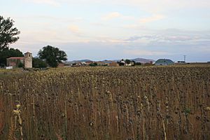 Villaseca de Arciel, Soria, España, 2015-09-29, JD 37.JPG