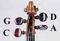 Viola peg strings
