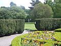 Yew hedge, formal garden of Pearse Museum
