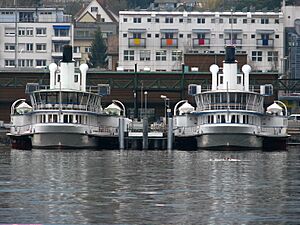 Zürichsee - ZSG - Stadt ZH & Rapperswil IMG 2063
