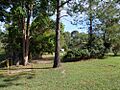650053 former cemetery reserve site from Bluebell Rd (EHP, 2017)