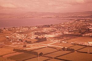 Aerial view of Glendowie, 1961 (cropped)